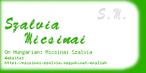 szalvia micsinai business card